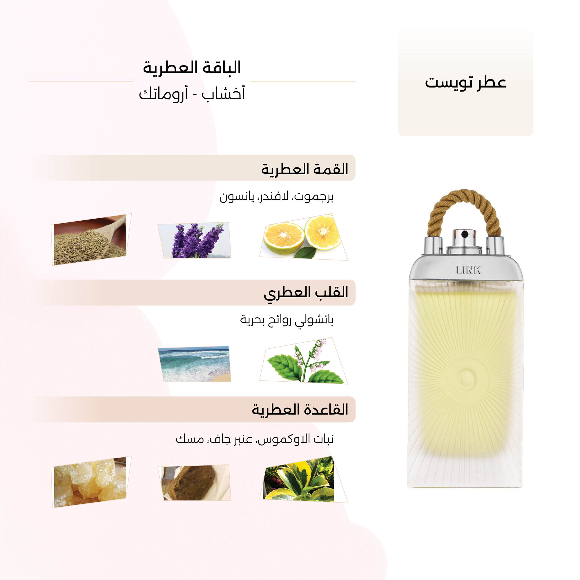 Twist Perfume by Link 100ml