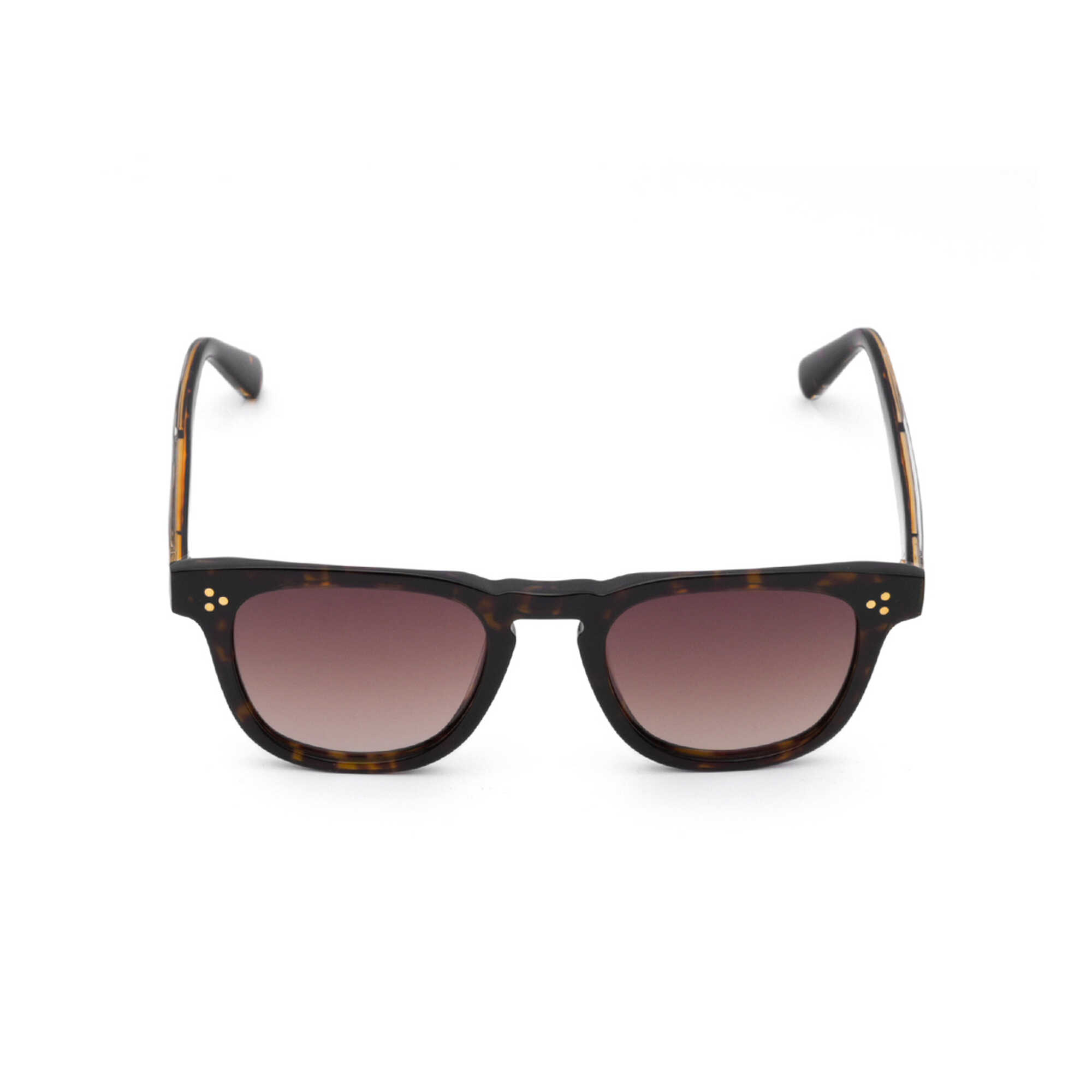 Proud Men's Sunglasses PD008 C.2 54-17 + Box