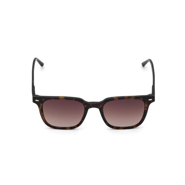 PD010 C.2 50-20 نظارة براود رجالي