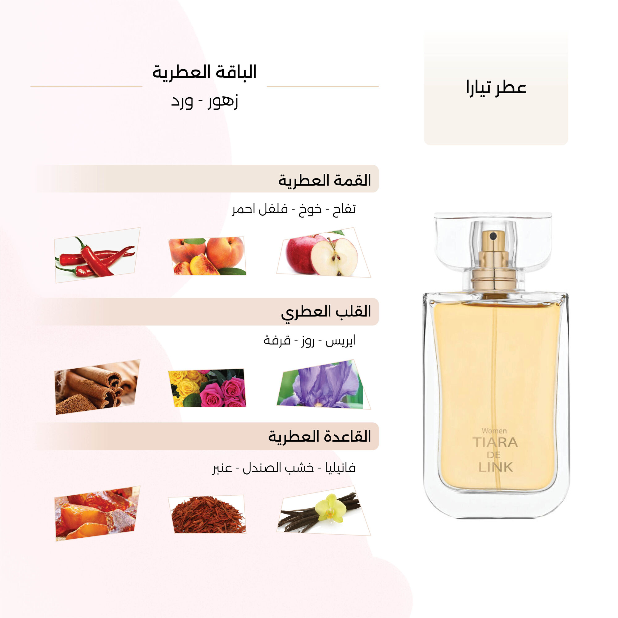 عطر تيارا النسائي من لينك