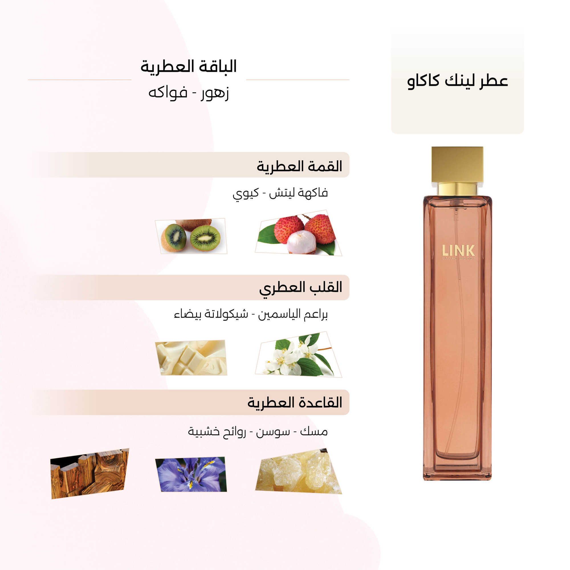 Cacao Woods Perfume by Link 100ml