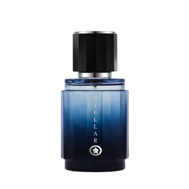 ستيلر رجالى 100 مل