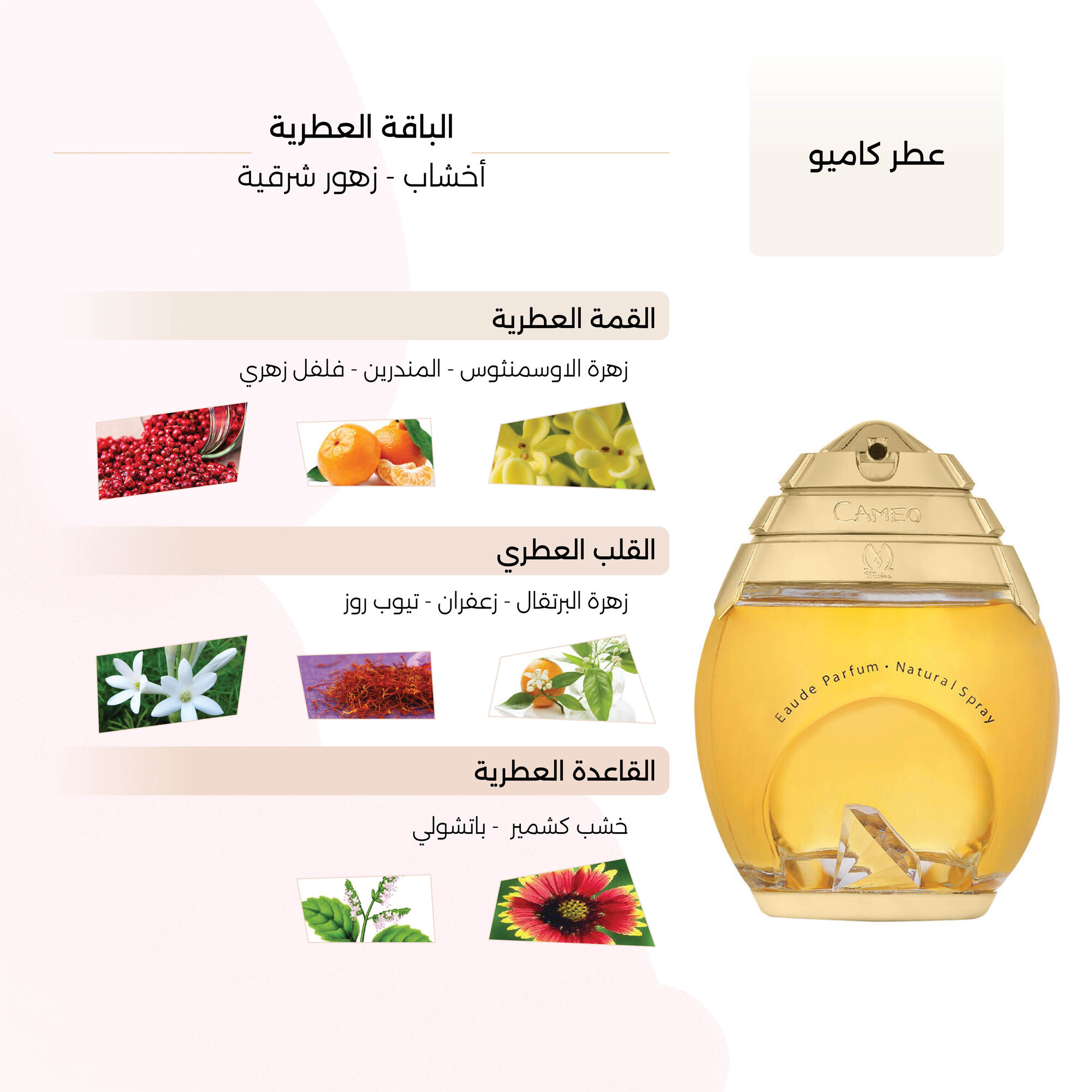 عطر كاميو النسائي من مايوس