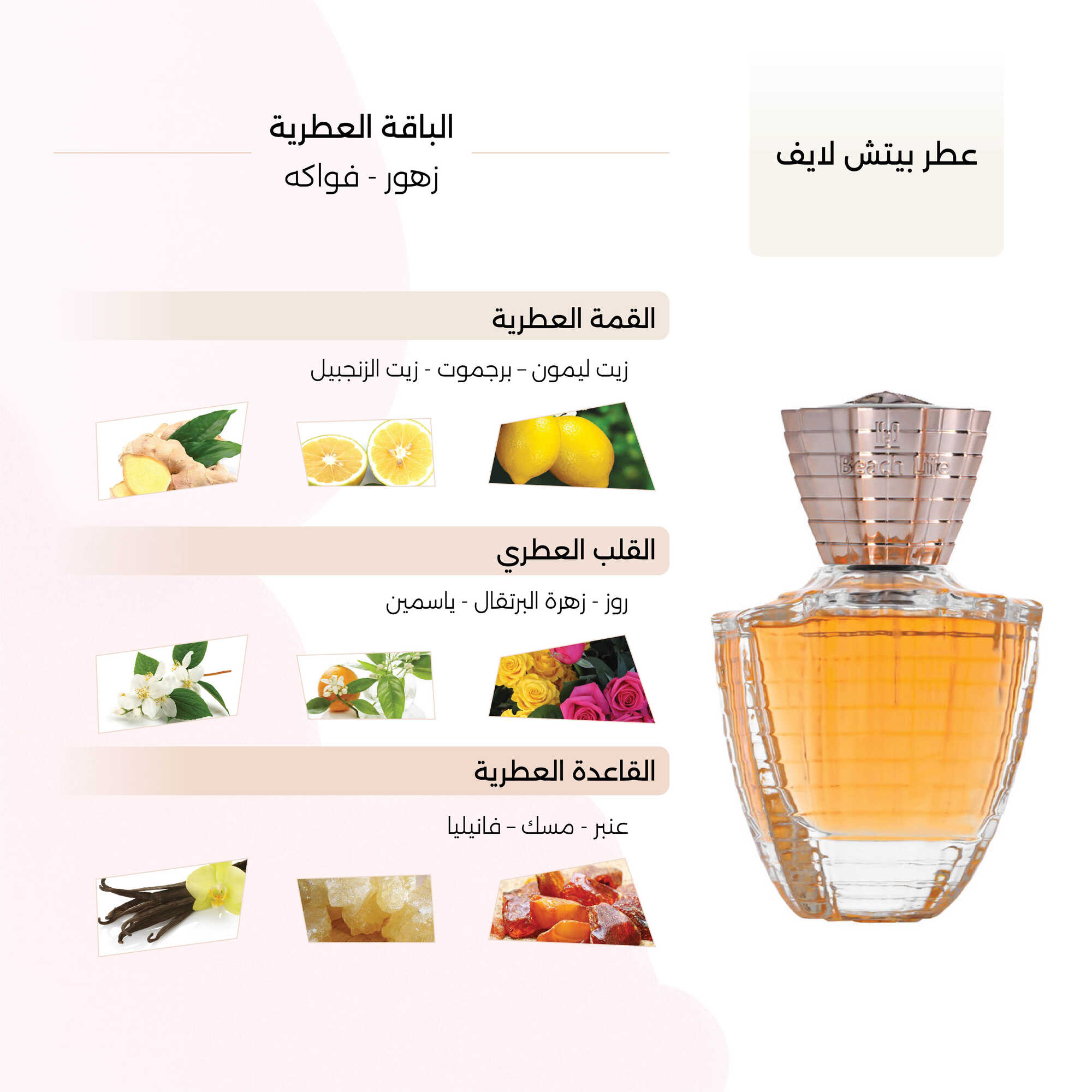 عطر بيتش لايف النسائي70مل