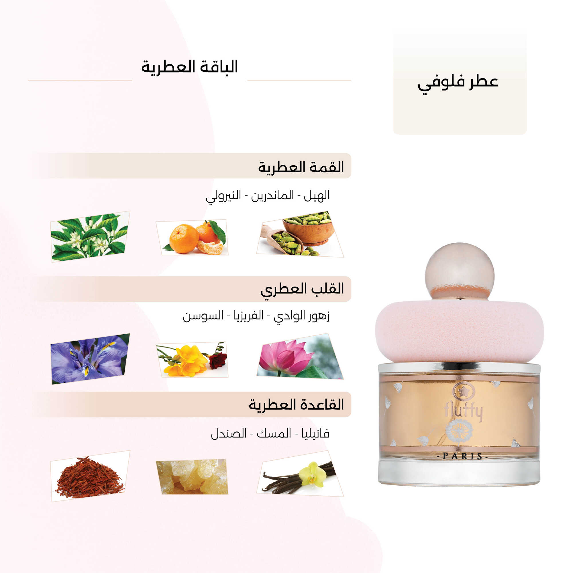 عطر فلوفي النسائي من رينج