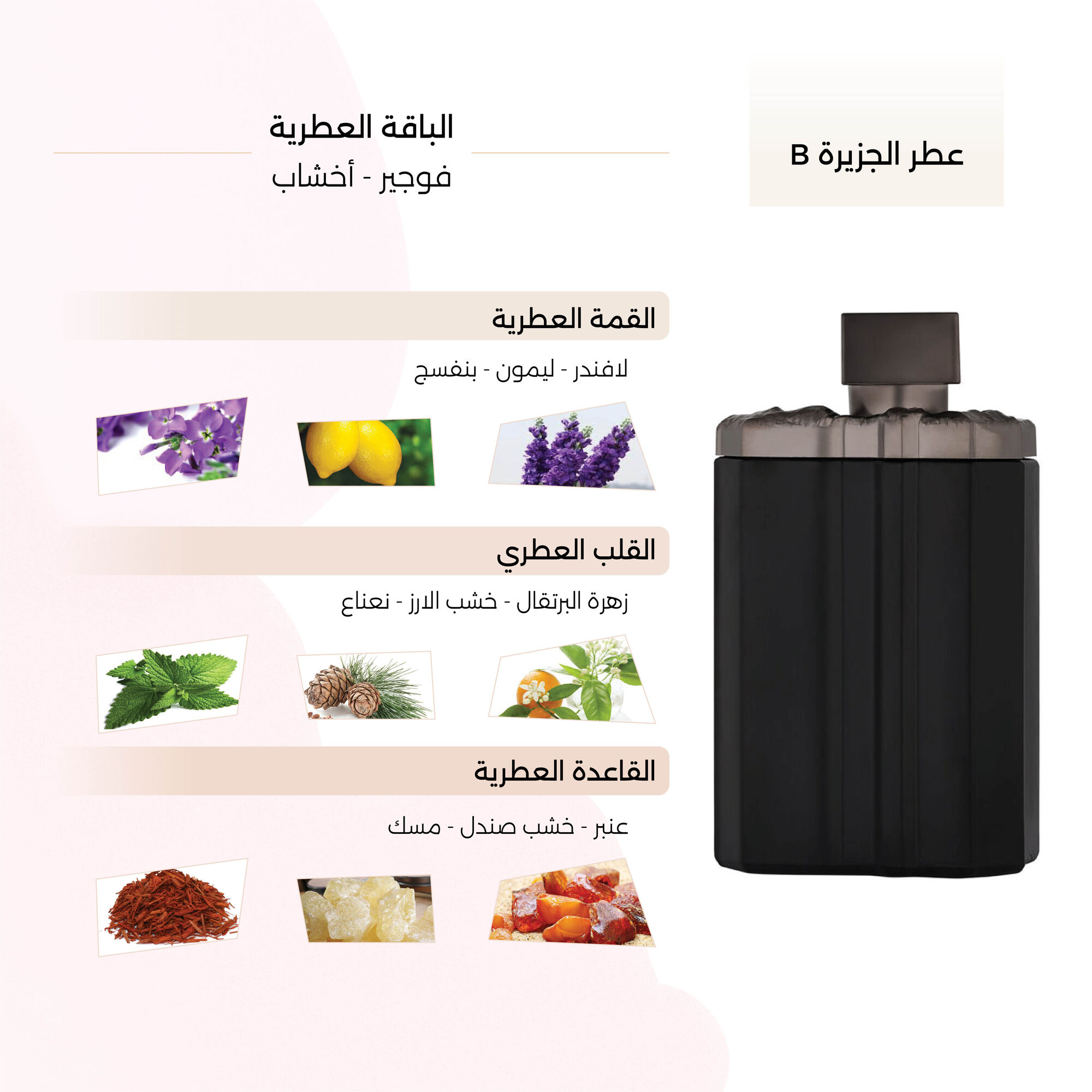 Al Gazeera B Eau de Parfum 150 ml