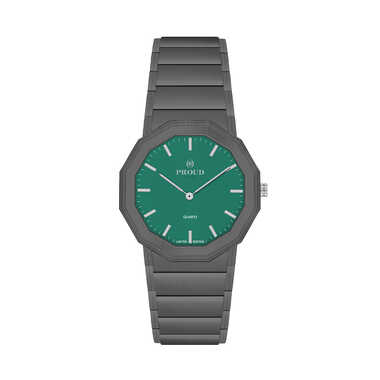 Proud Steel Watch Y24TS(23PR005S)-C-Gray