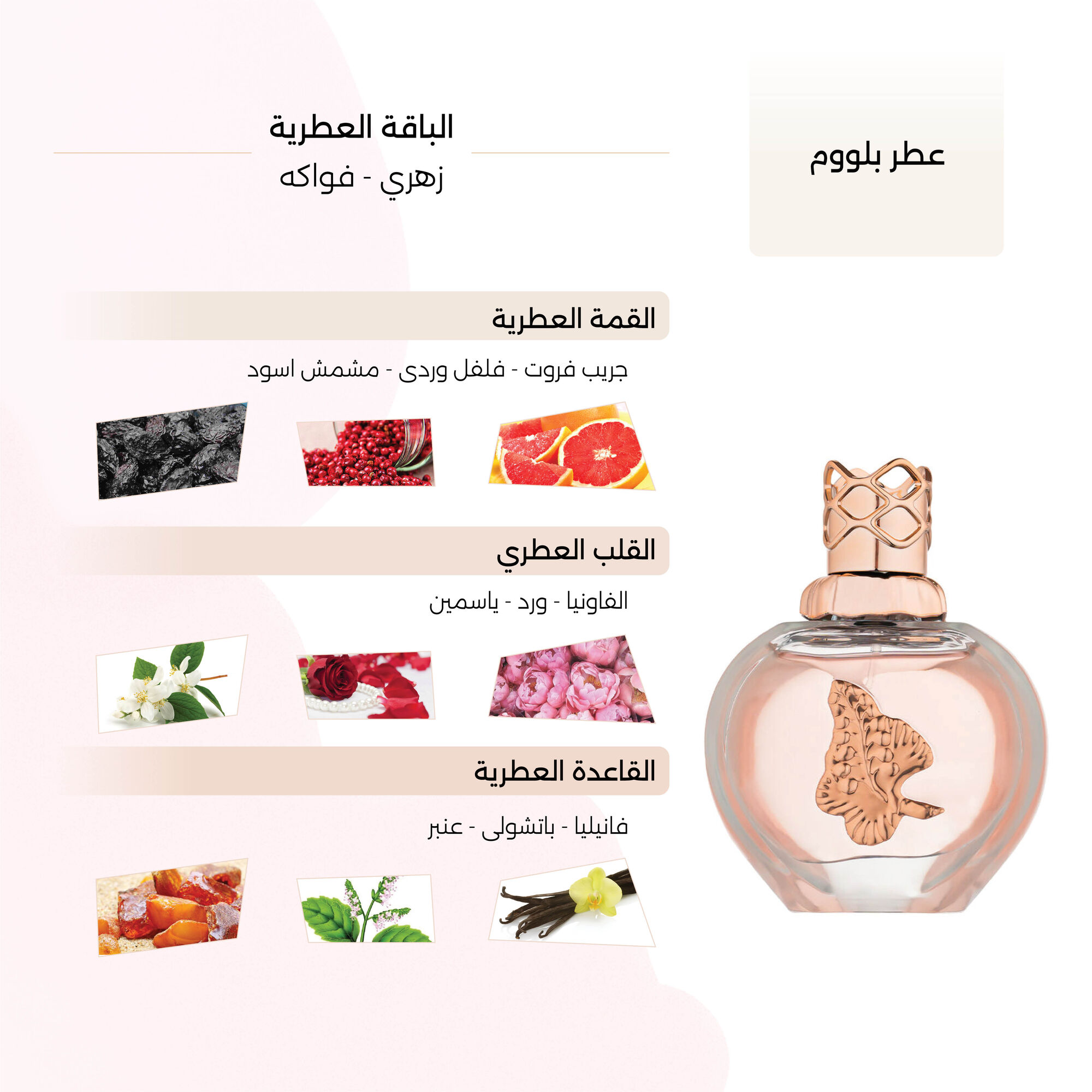 عطر بلووم النسائي من بورموا