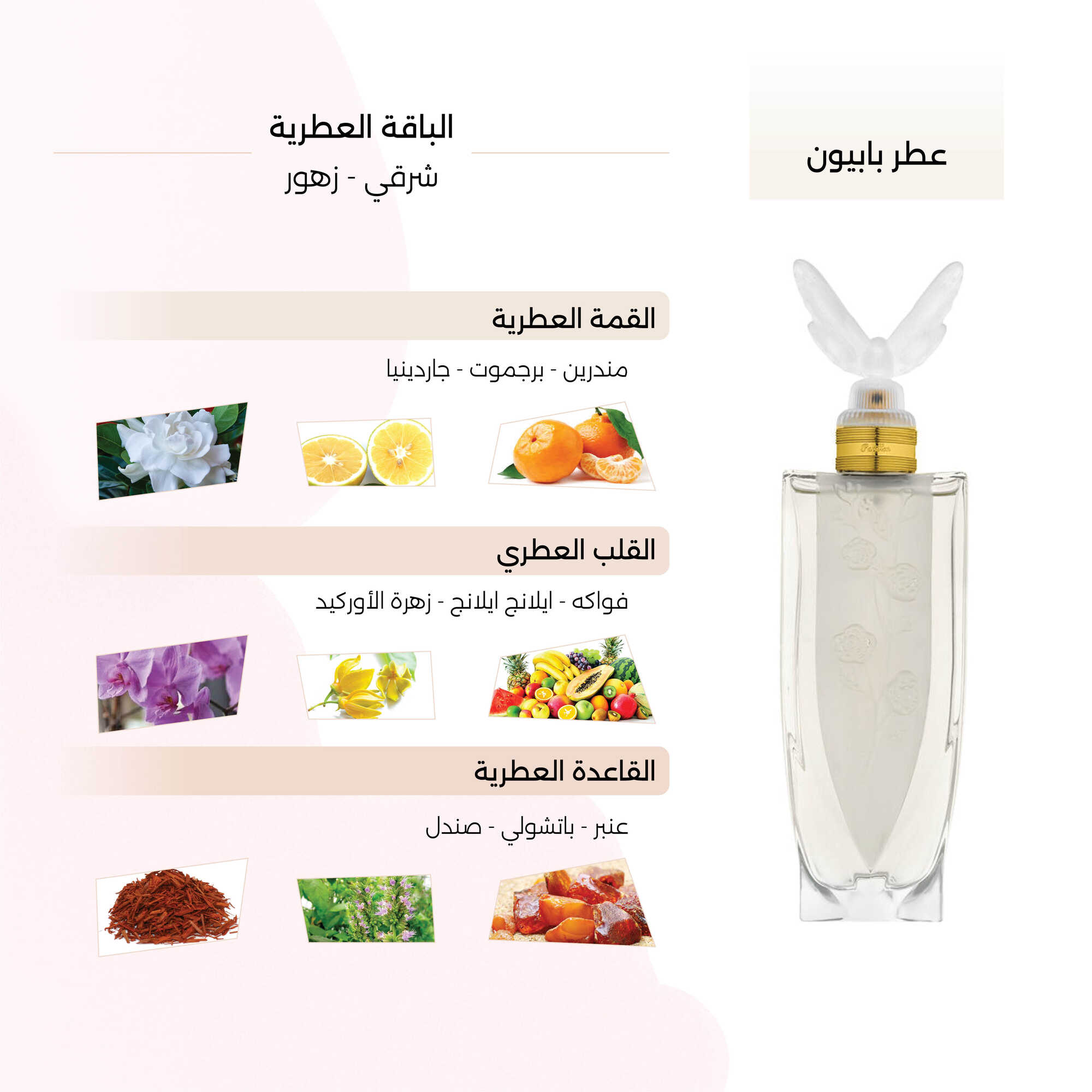 بابيون : 100 مل