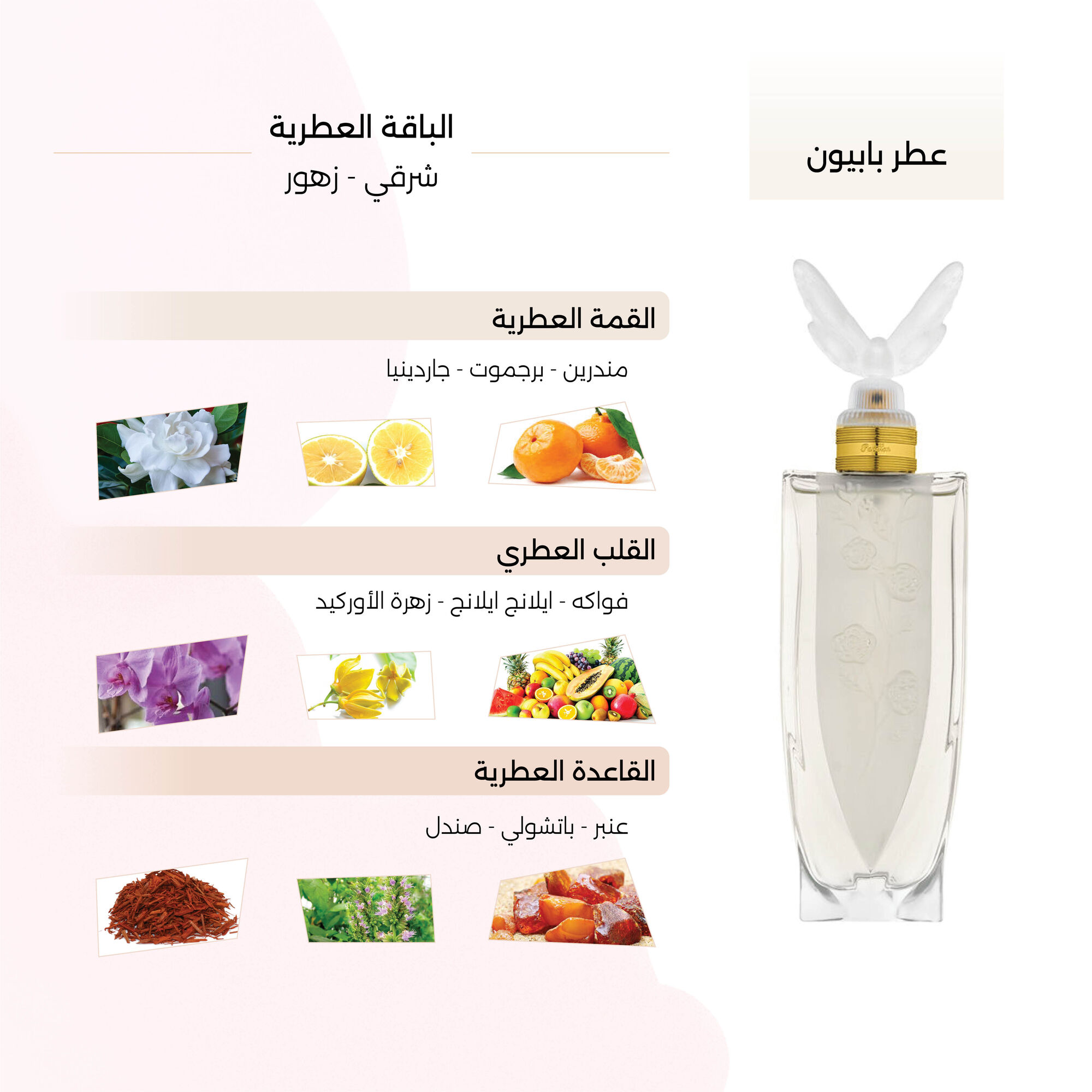 عطر بابيون النسائي من درعه