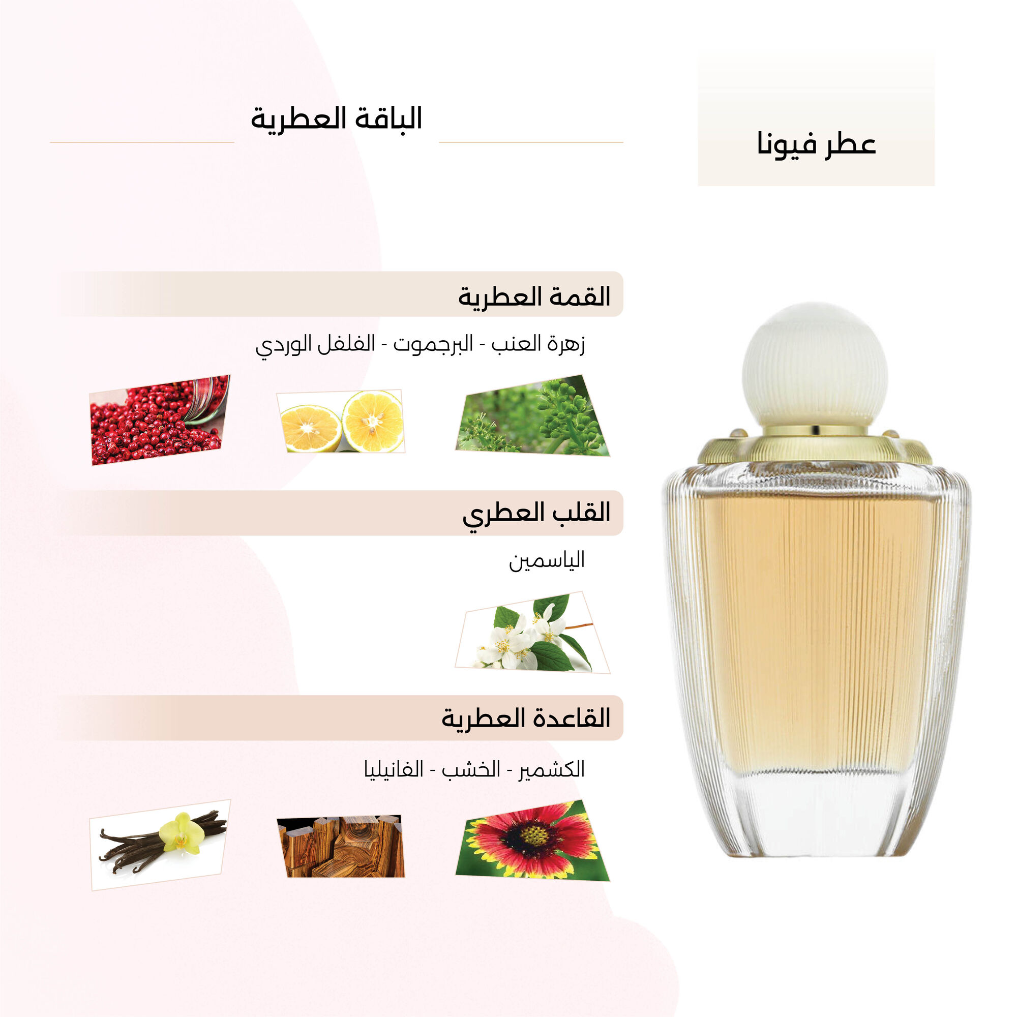 عطر فيونا النسائي من لينك