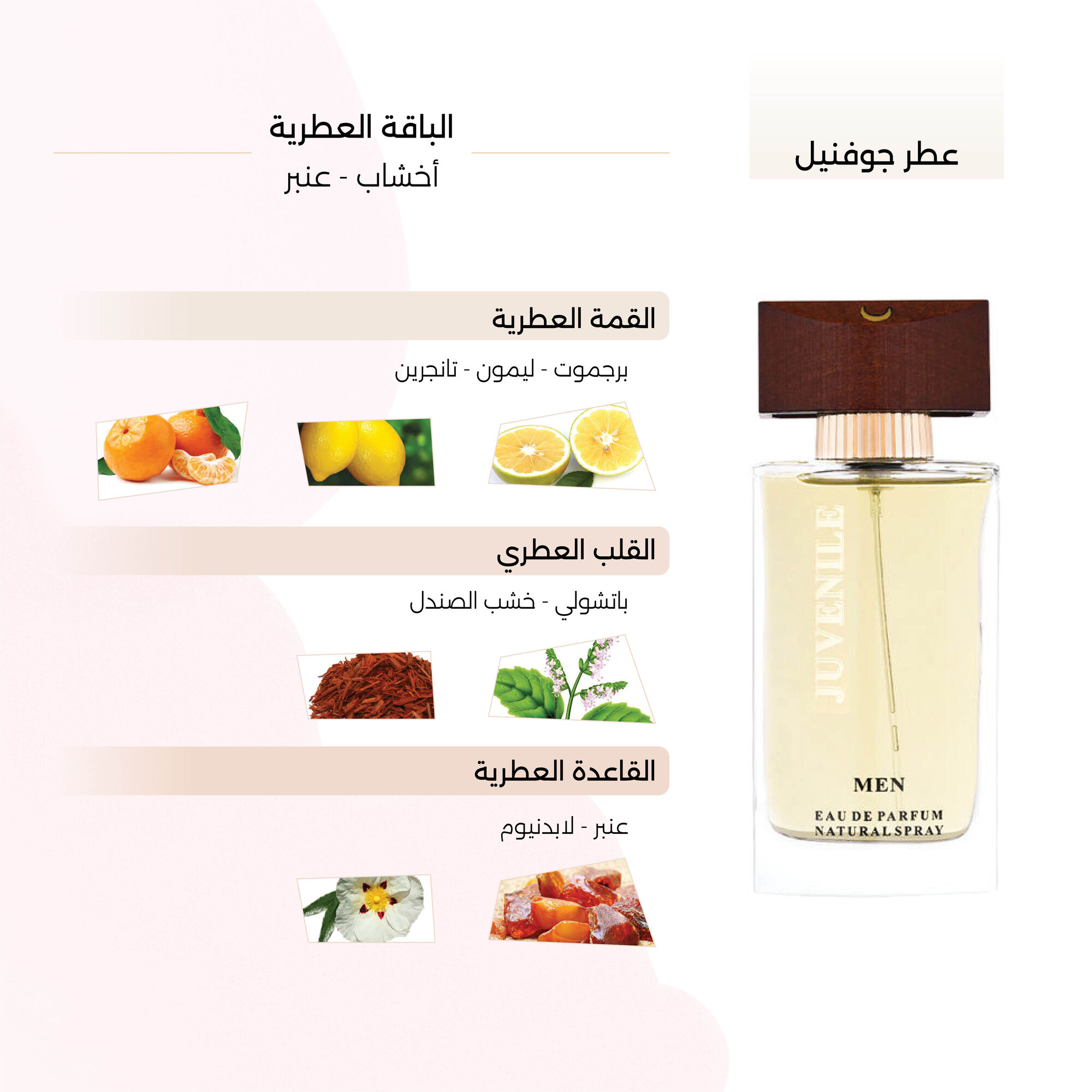عطر جوفنيل الرجالي