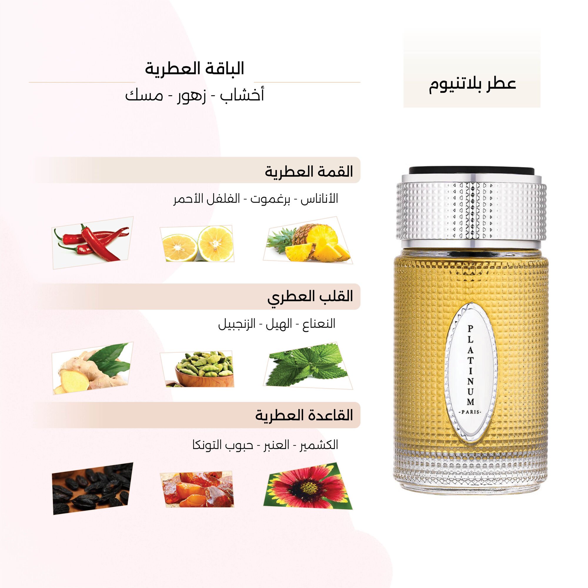 عطر بلاتنيوم  الرجالي من جنجل