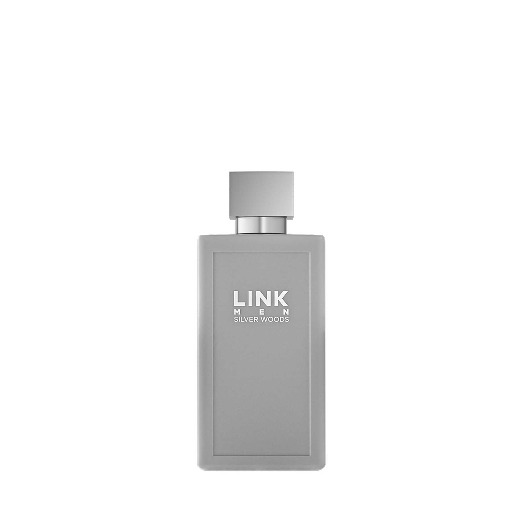 Silver Woods Eau de Parfum 100 ml
