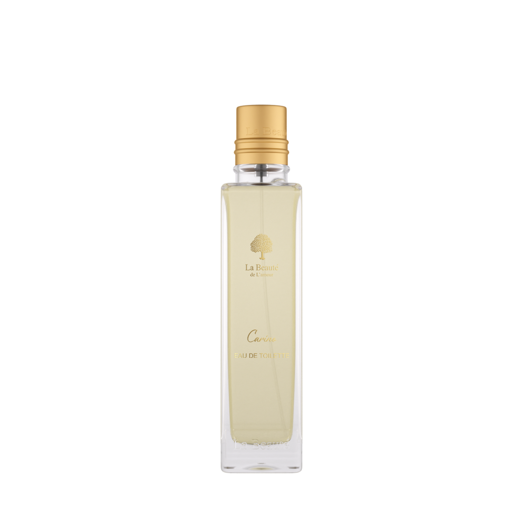 EDT  carino 100ml La Beaute de Lamour